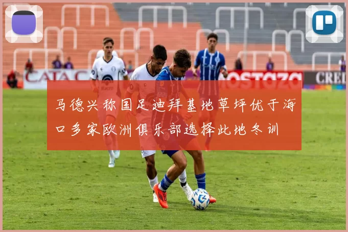 马德兴称国足迪拜基地草坪优于海口多家欧洲俱乐部选择此地冬训